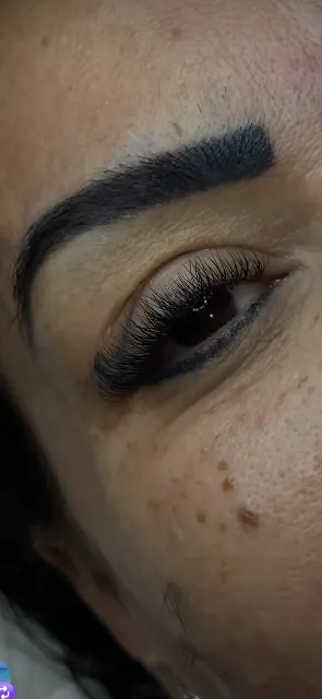 Classic look trepavice u salonu Lash&Brows studio